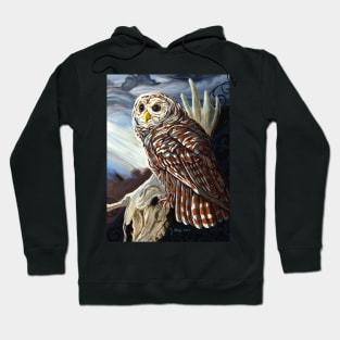 Hard Wisdom Owl Hoodie